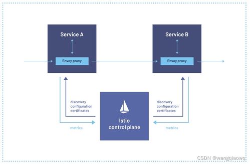 Istio學習筆記 服務網格在信息系統運行維護服務中的應用與實踐