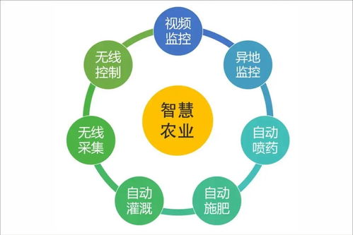浙江新田鋪智慧農(nóng)業(yè)蔬果工廠正式投產(chǎn) 信息系統(tǒng)運行維護服務開啟現(xiàn)代農(nóng)業(yè)新篇章